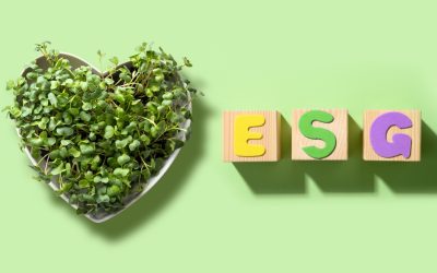 What is a Website Sustainability Audit?